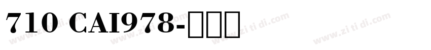 710 CAI978字体转换